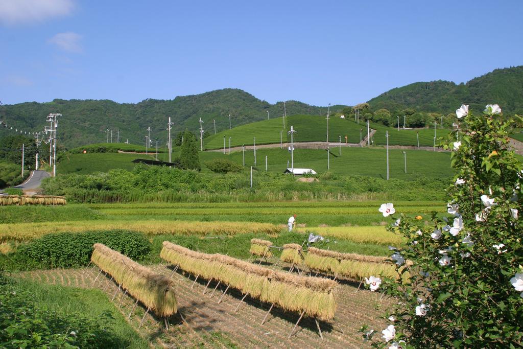 Kyoto Wazukaso Hotel Kizugawa Exterior photo